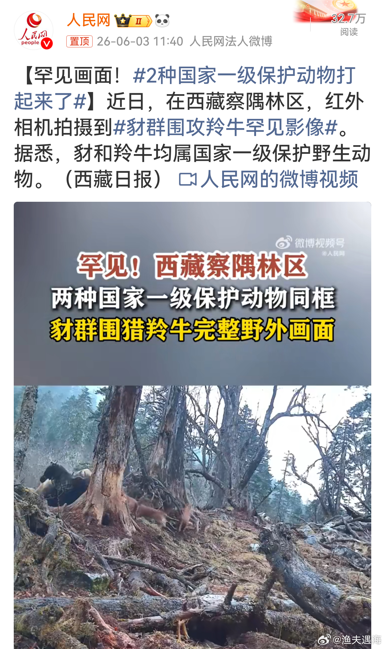 2种国家一级保护动物打起来了一级碰一级，全是国家级选手，裁判大自然不好偏帮，全凭