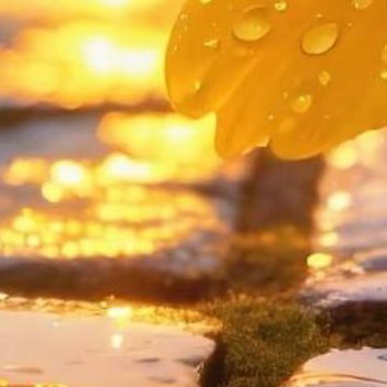 正能量心中装着怨恨的人，最是辛苦。总揪着别人的过错不放，反复咀嚼伤害，看似在惩罚