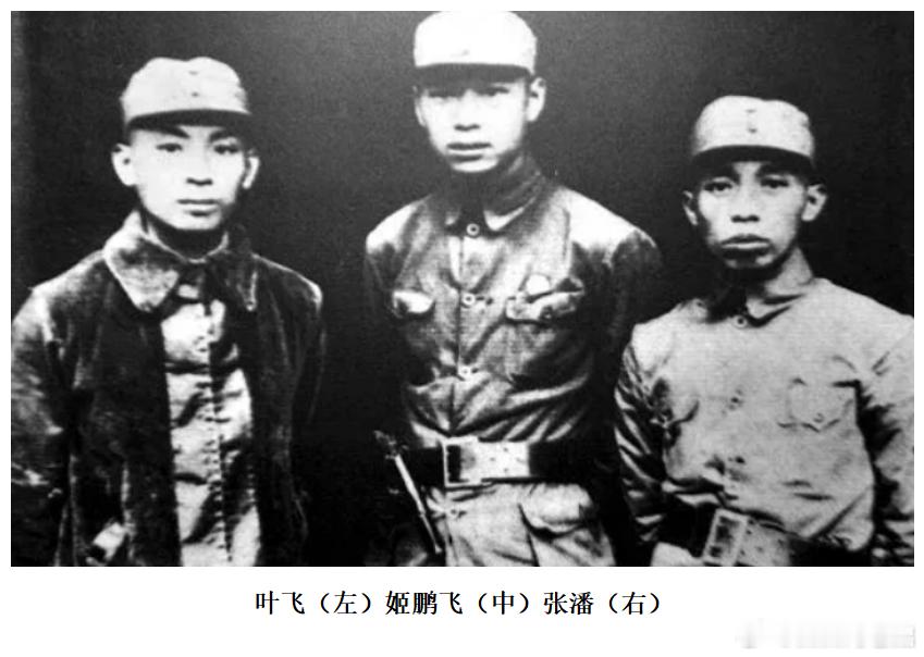 东进！东进！我们是铁的新四军！合集网页链接06、回到吴家桥，叶飞就召开军政委员会