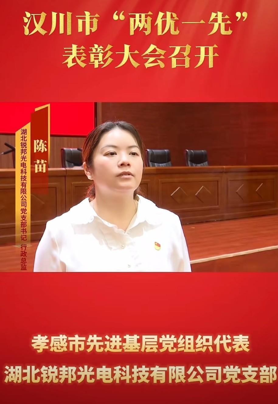 汉川市“两优一先”表彰大会召开丨先进基层党组织代表、优秀共产党员、优秀党务工作者