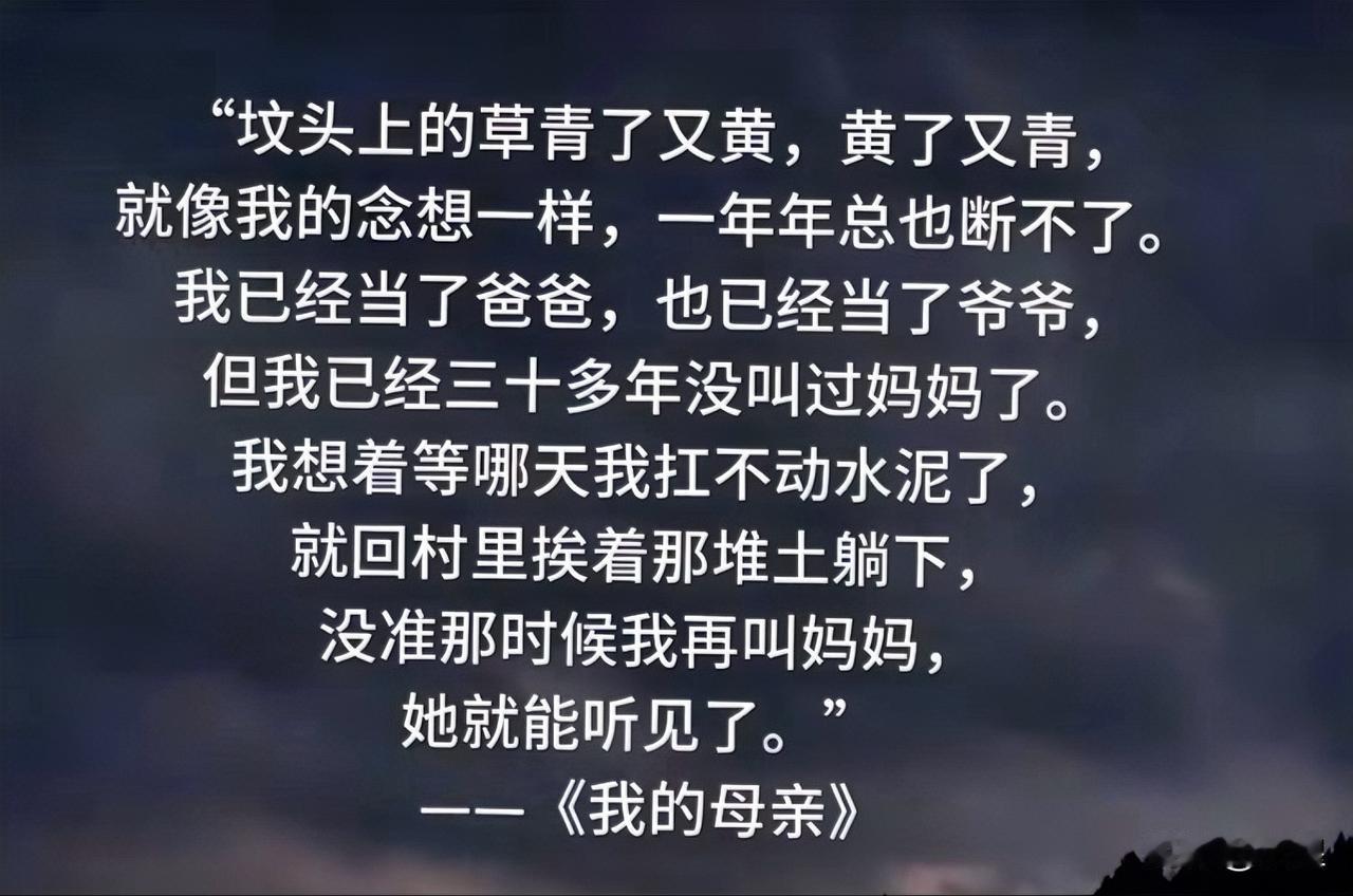 刚才看到一位农民工兄弟写的《我的母亲》
很难描述读完之后那种感觉
心脏似乎被猛捶