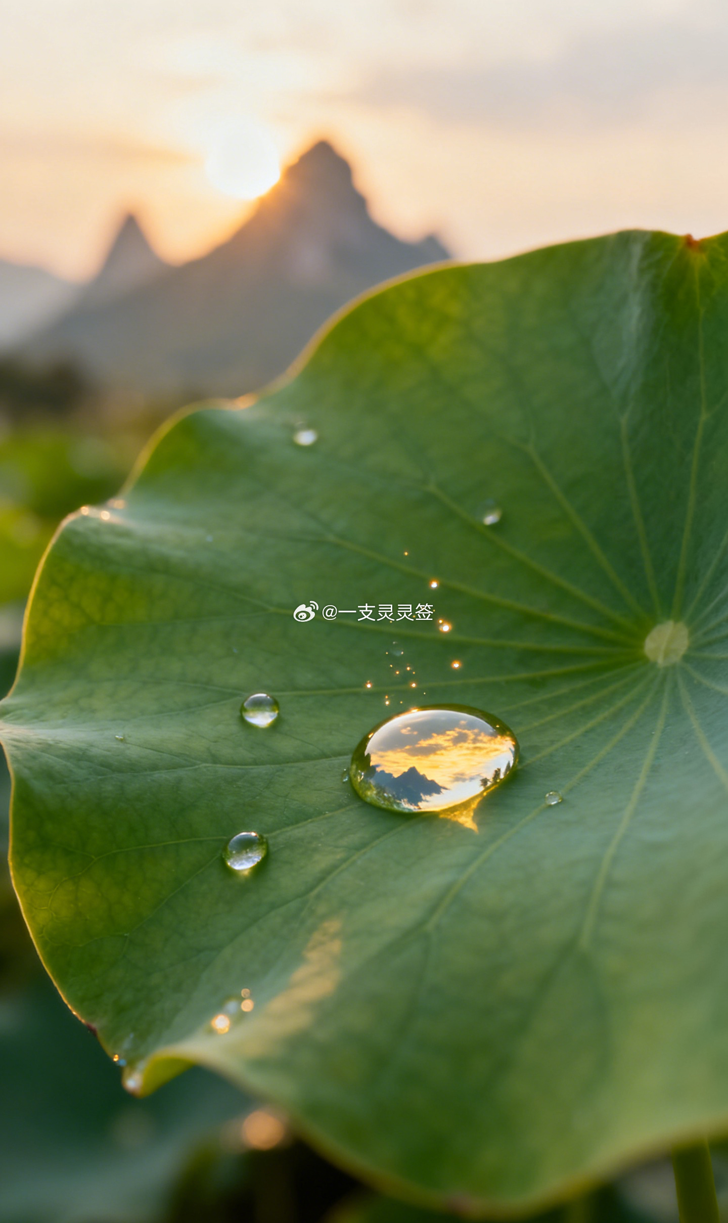 活得通透的人身上常有一点好玩的意趣。哪怕见识过许多复杂的世事依然能发现其中的妙趣