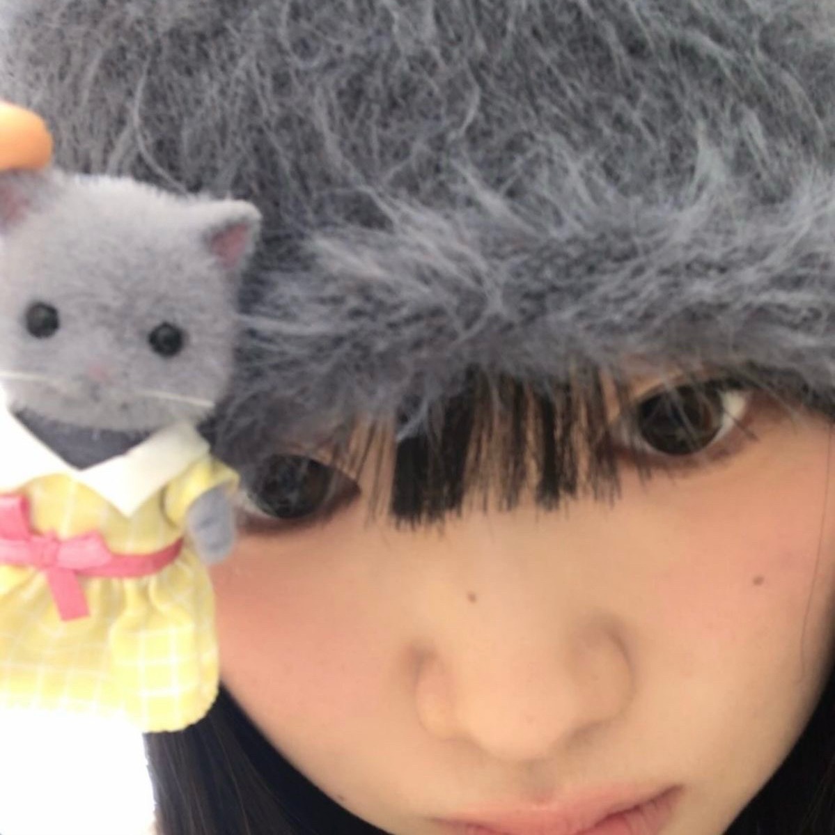 萌物治愈人生…｡･ﾟﾟ･(>д<)･ﾟﾟ･｡ 