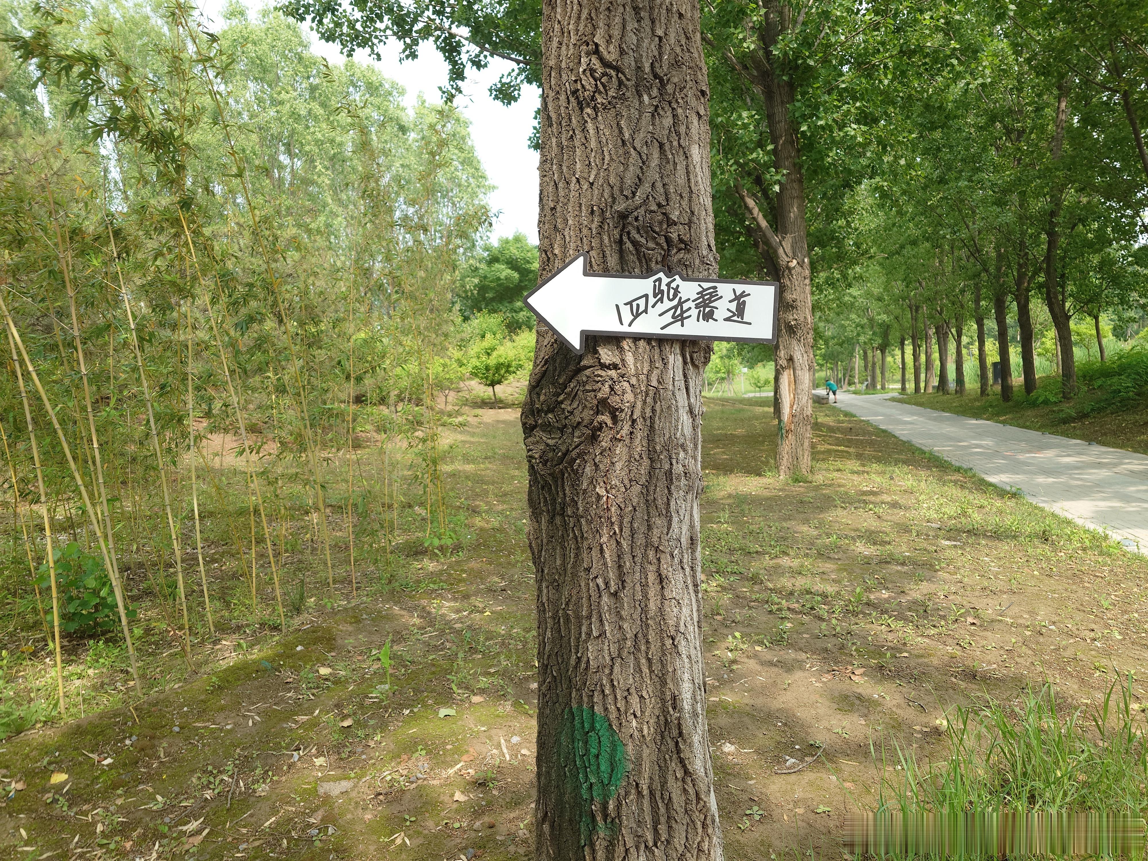 终于感受了一把温榆河的四驱公园。大人小孩玩得不亦乐乎。每个孩子都在认真的组装自己