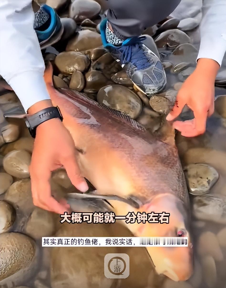 “差点牢底坐穿。”10月28日，笑不活了！重庆一男子意外钓上一条大鱼，朋友却惊呼