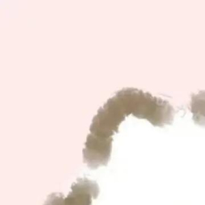 每日一善[超话]  每日‬一善  [心] 阳光信用  像五月的暖阳，青春充满朝气