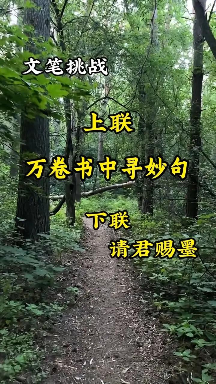 上联：万卷书中寻妙句
下联：半部论语觅华章