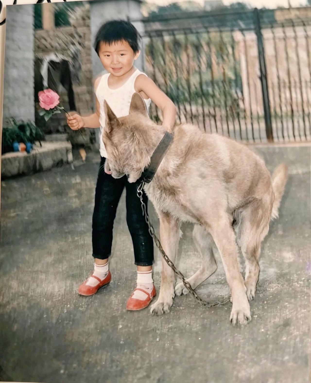 巨大的狼犬陪伴在少年身边，当初的这位少年如今也长大了。真的很羡慕他有大狗陪伴的童