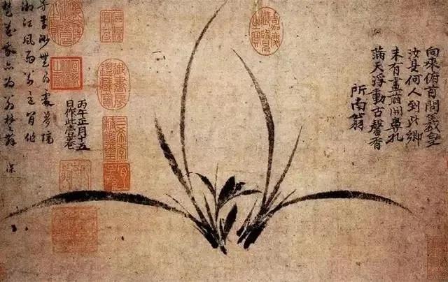 满天浮动古馨香～🌺