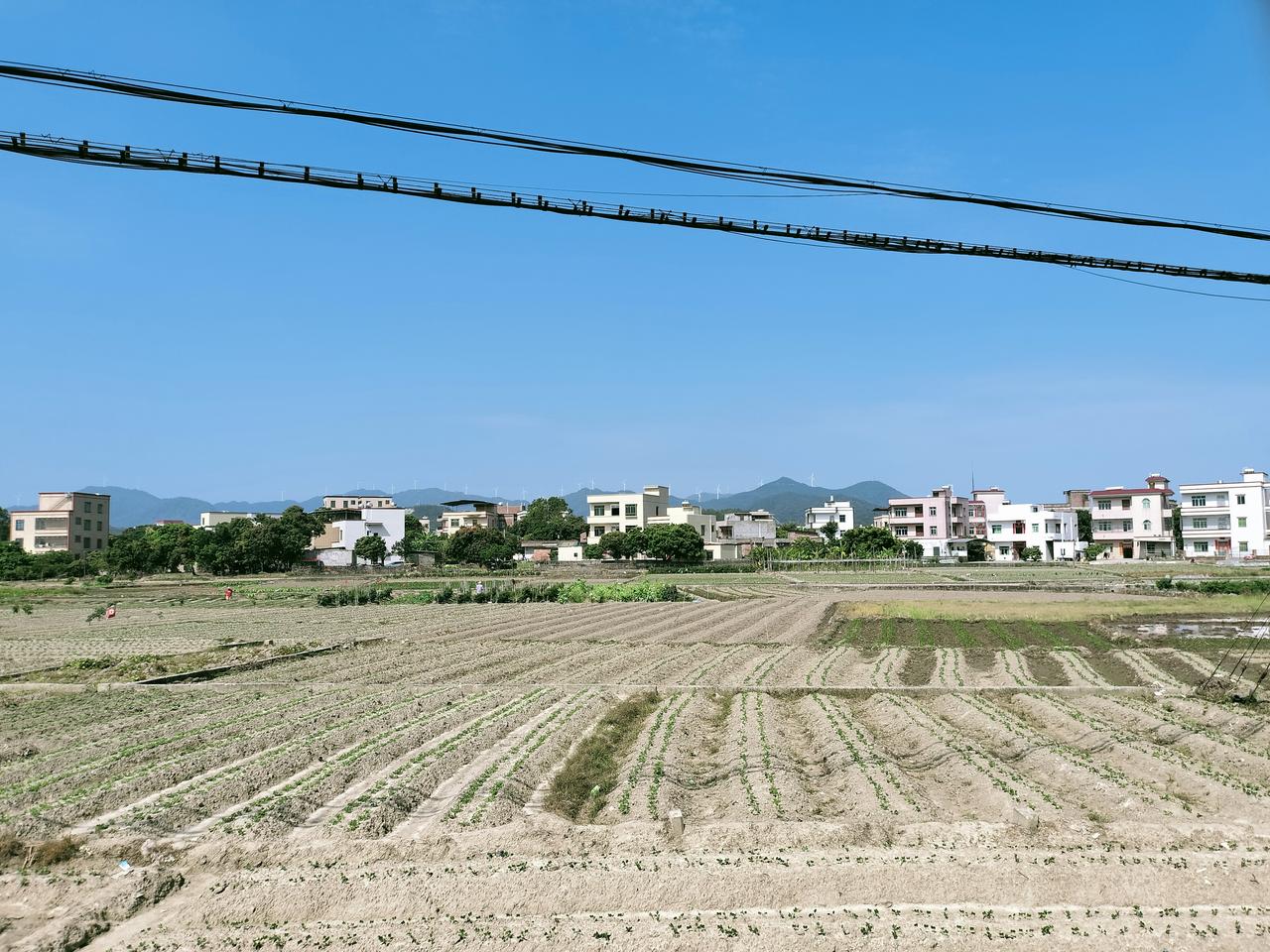 枯枝孕新芽，冻土裂微痕。风卷黄沙过，燕语破寒云。泥土香渐深。绿叶显春归 初春树叶
