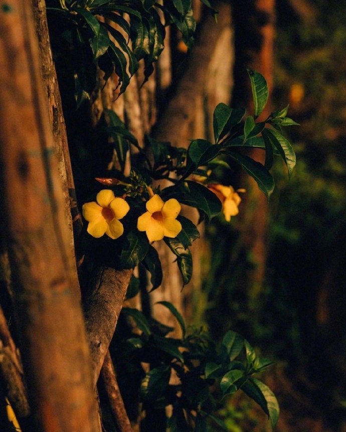 你生命中出现的问题并不是要阻止你，而是要唤醒你。——卡尔·荣格 