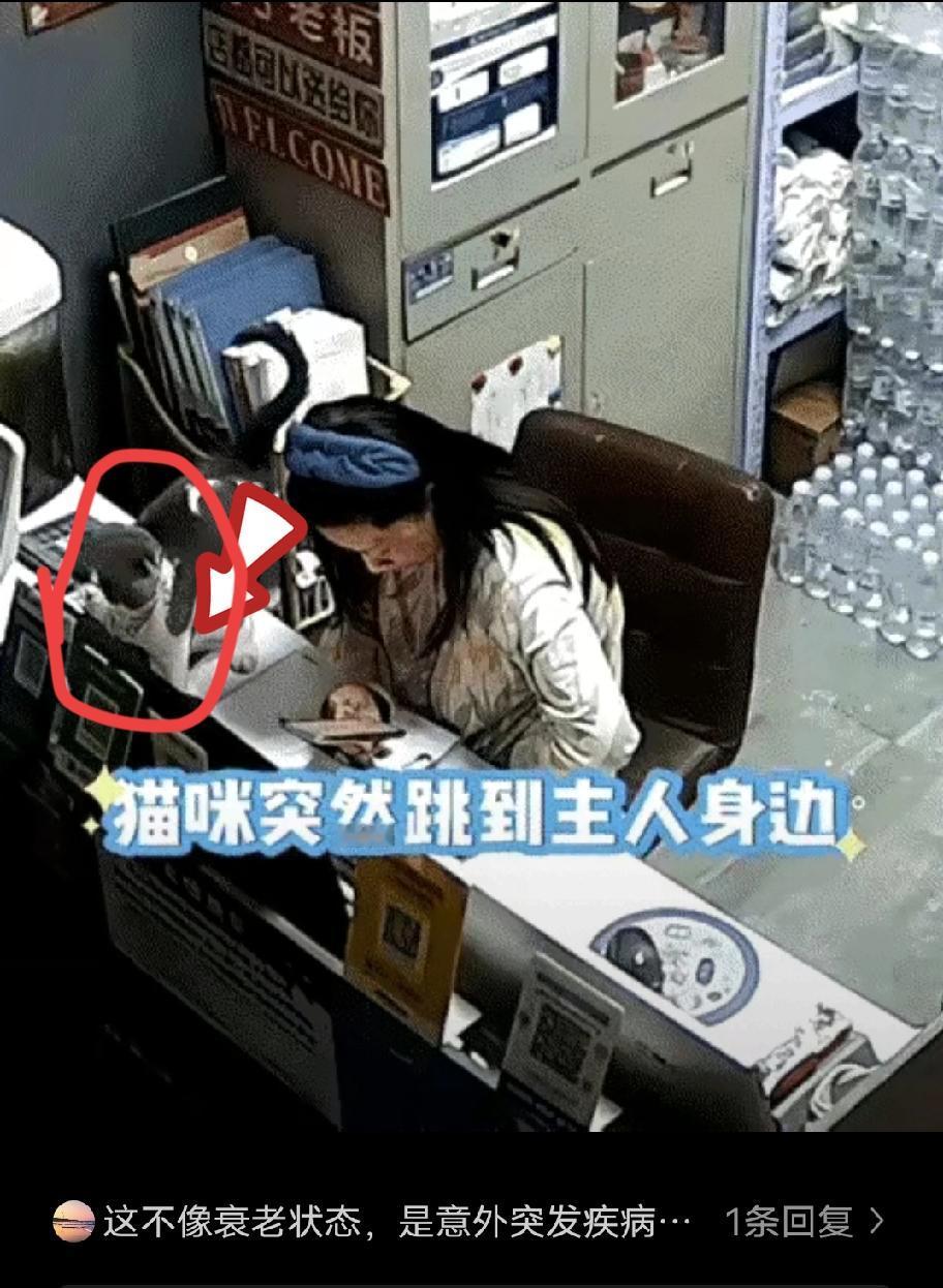 别再说动物不懂感情了！

山东德州那位店主的经历，简直给所有质疑者狠狠上了一课。