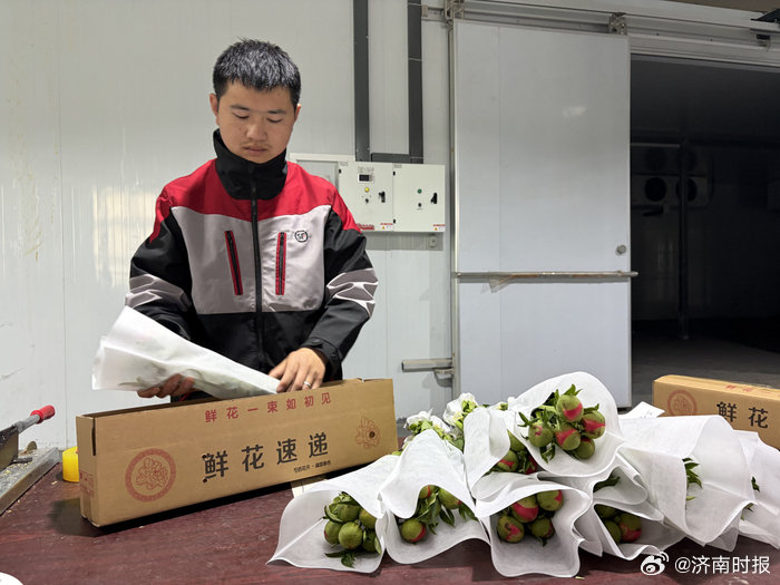 【#菏泽芍药鲜切花有望实现直飞#】#菏泽芍药鲜切花包揽全国六成份额# 近日，牡丹