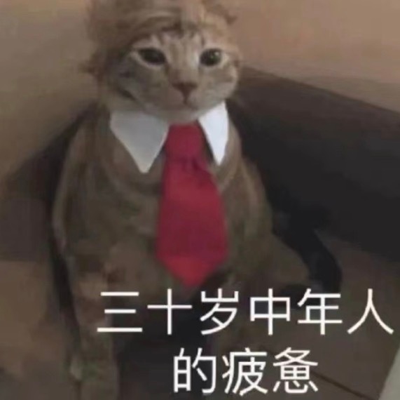 现在就是希望19号这天，体验服不要更新什么麻烦的活动，这样至少能捞到几天休息时间