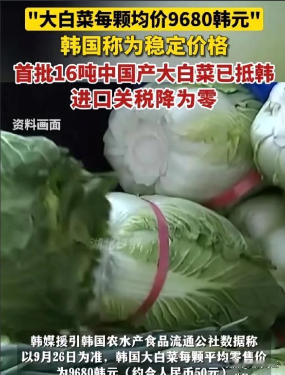 中国向韩国出口了16吨大白菜，刚刚到货！让人意外的是：进口关税居然降到零了，可在