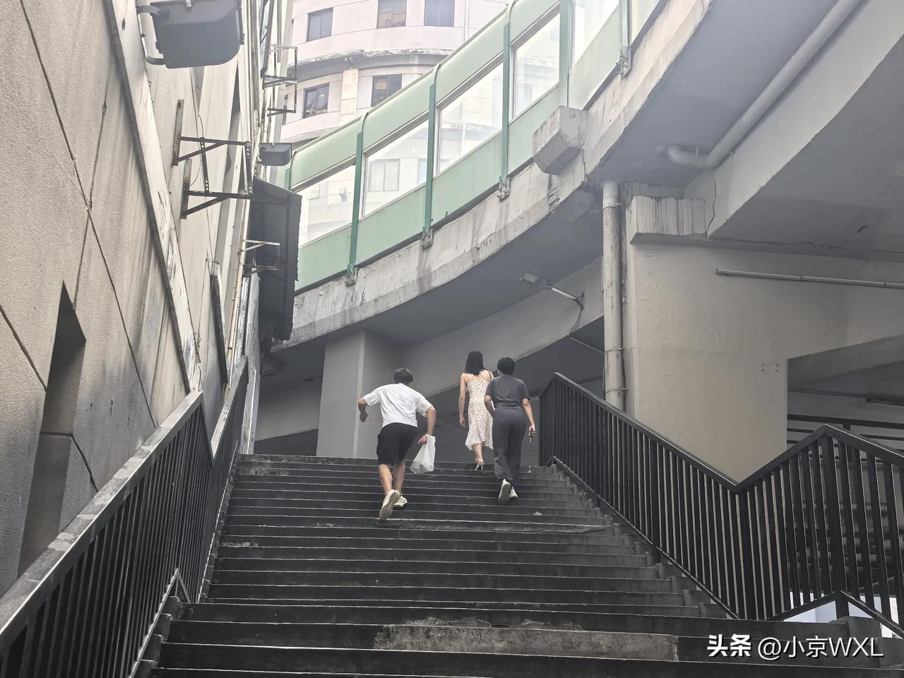 西濠二马路
晒图大赛
走出文化公园，走上天桥，来到马路对面的西濠二马路。
上世纪