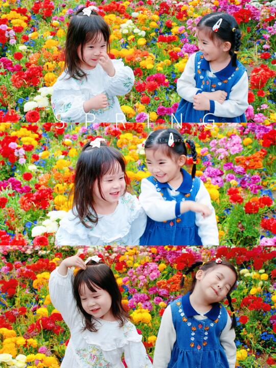 别再周末人挤人🌷北京人少不要钱的花海公园