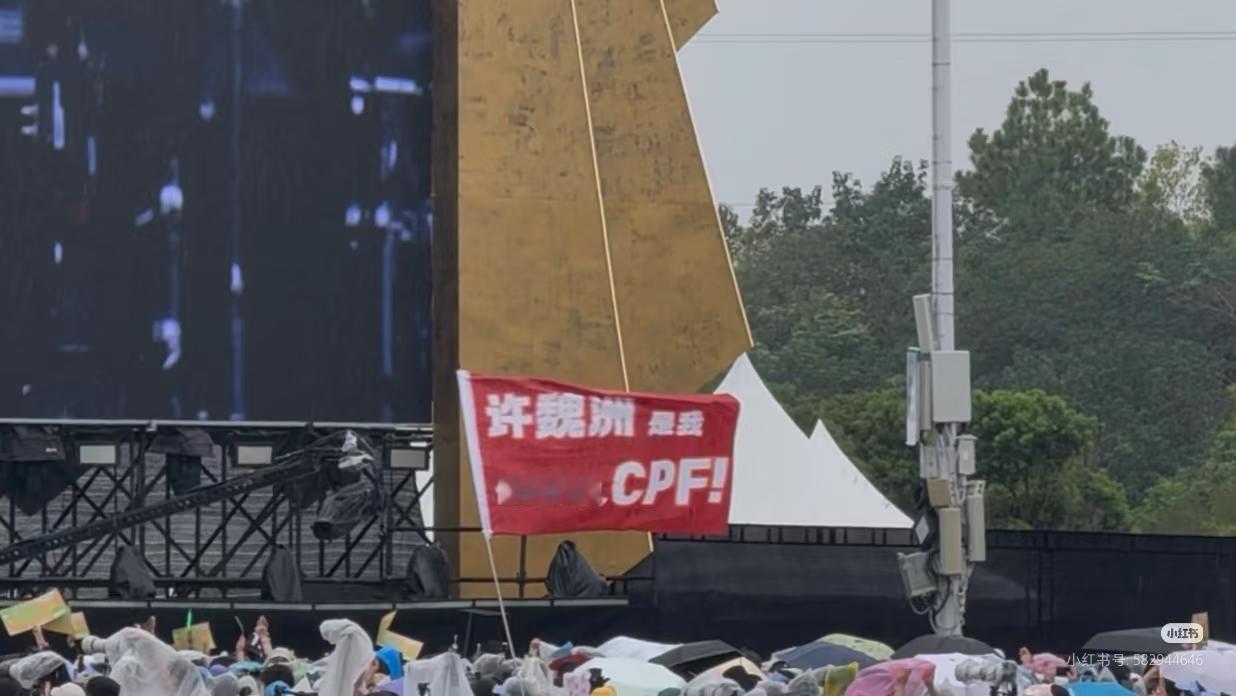 跟cpf对着干会经历什么 ​​​