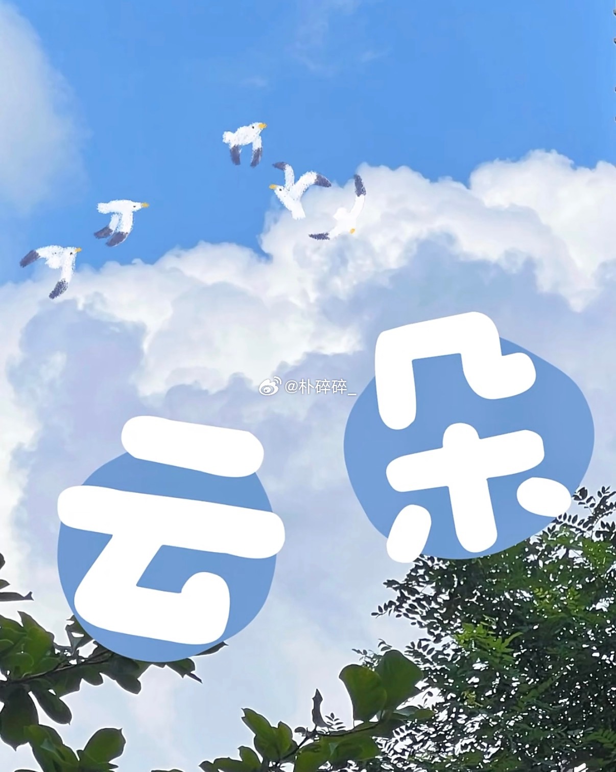 生活有丰富多彩的颜色(◍´O`◍)！大字pl🌤️g“允许彩色入侵，就像允许快乐