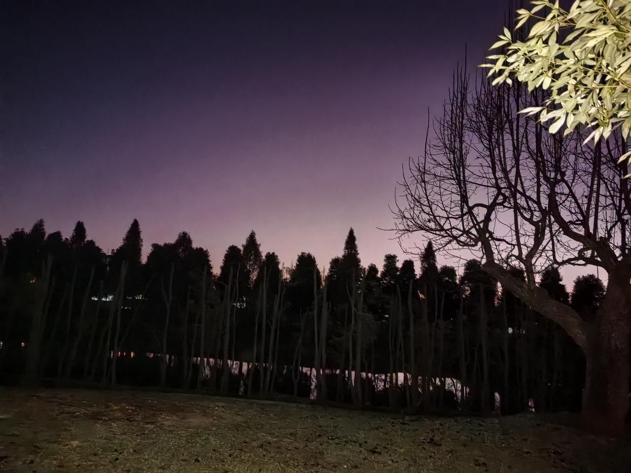 1.再次走过熟悉的路
路也老了
我也老了

2.对着平静的湖面高声呐喊
水面的波