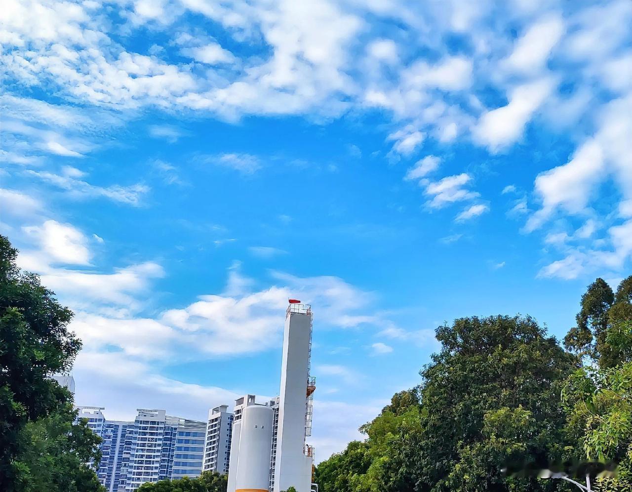 这是什么神仙蓝天啊！手机随手一拍直接美出圈
 
谁懂啊！一抬头直接被今天的天空美
