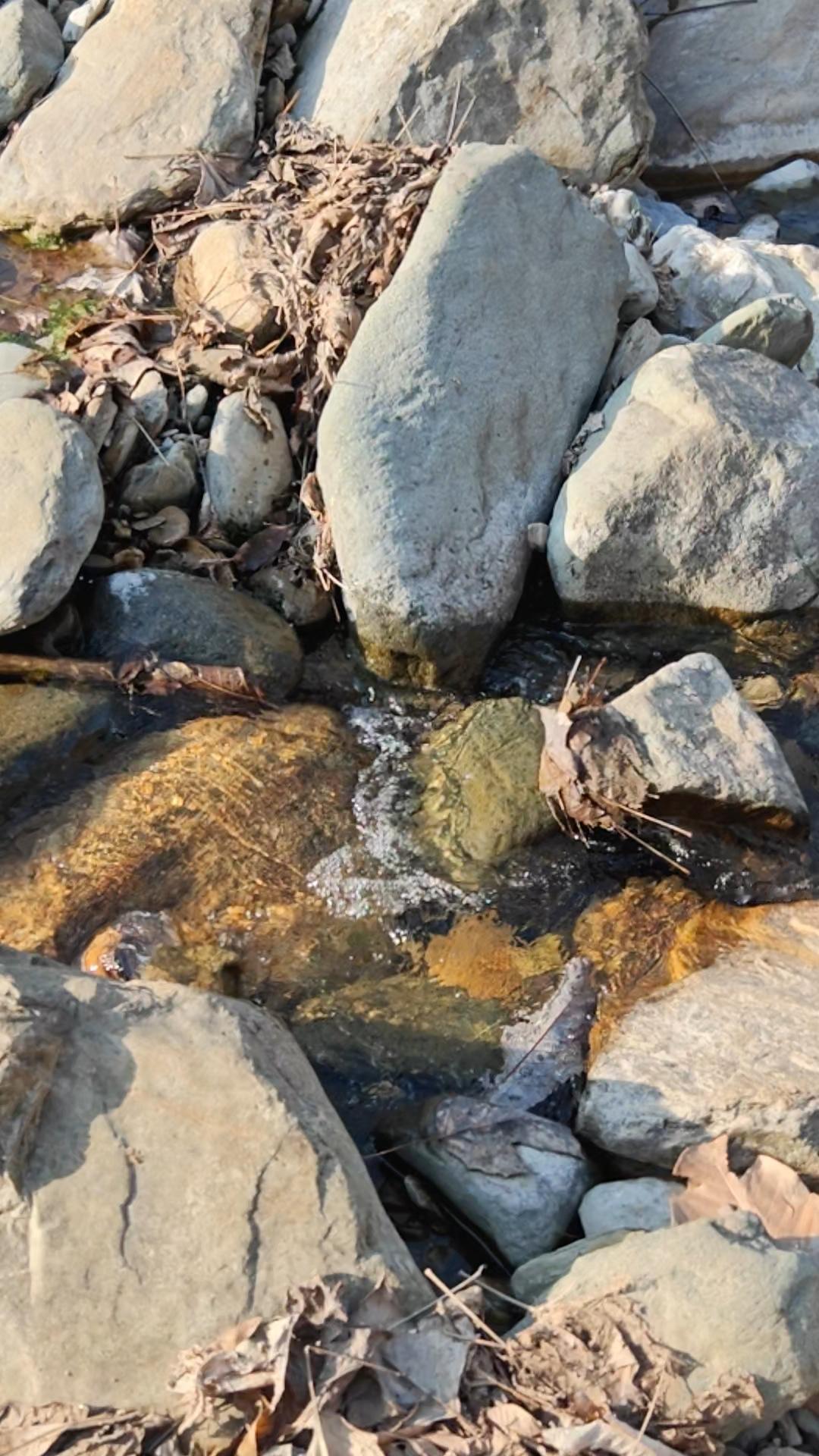 都在玩儿手机了……