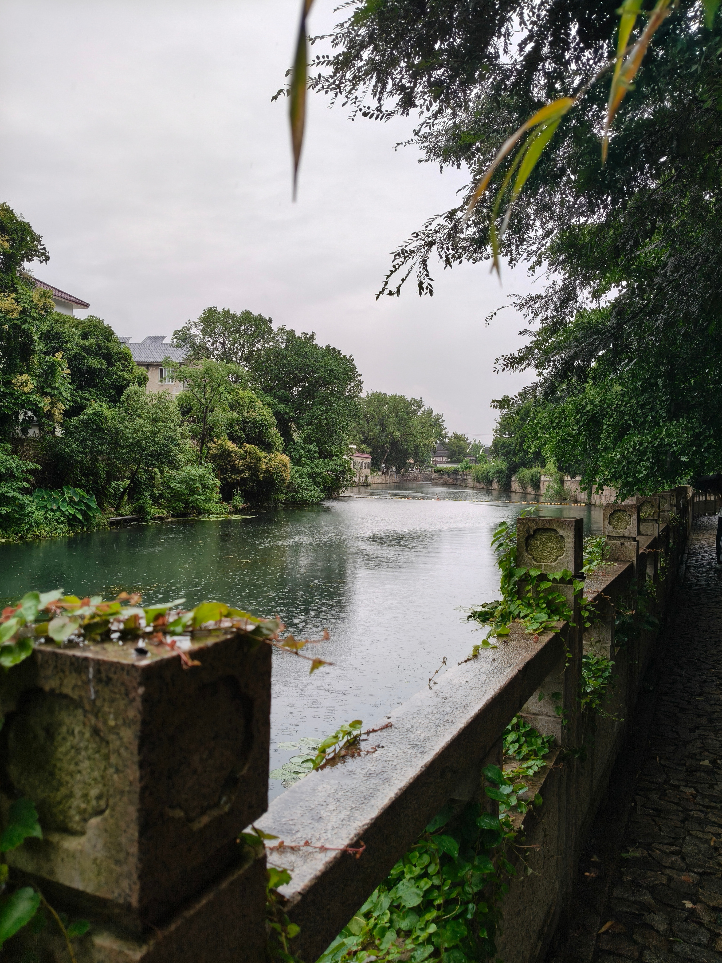 真是烟雨江南了 