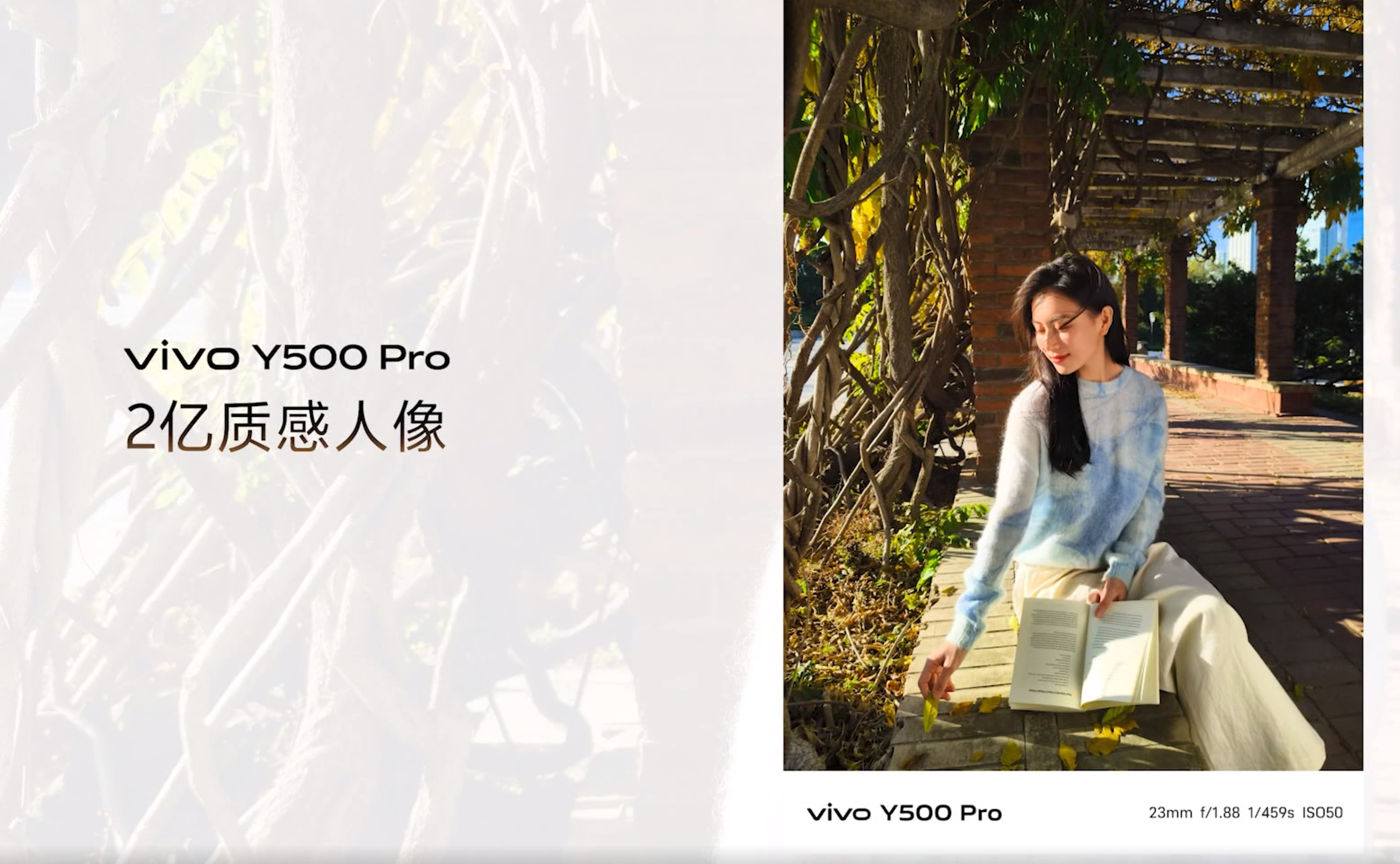 影像这块，用vivo很安心~vivo Y500 Pro ​​​