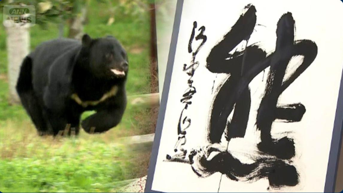 字如其名，概括的好！‘一年一个汉字表示’，12月12日下午 2点左右的日本，由森