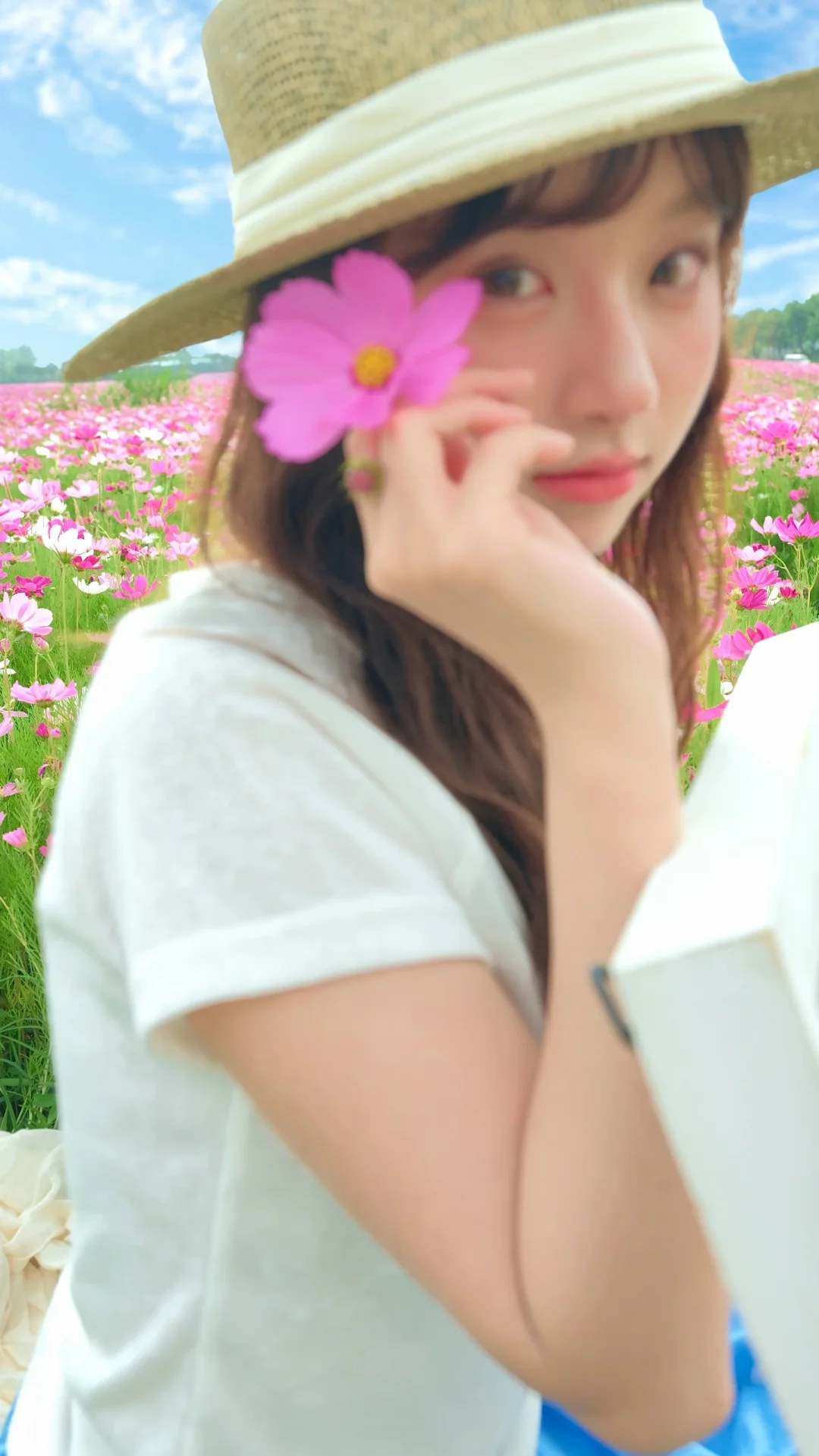 春天当然要拍花