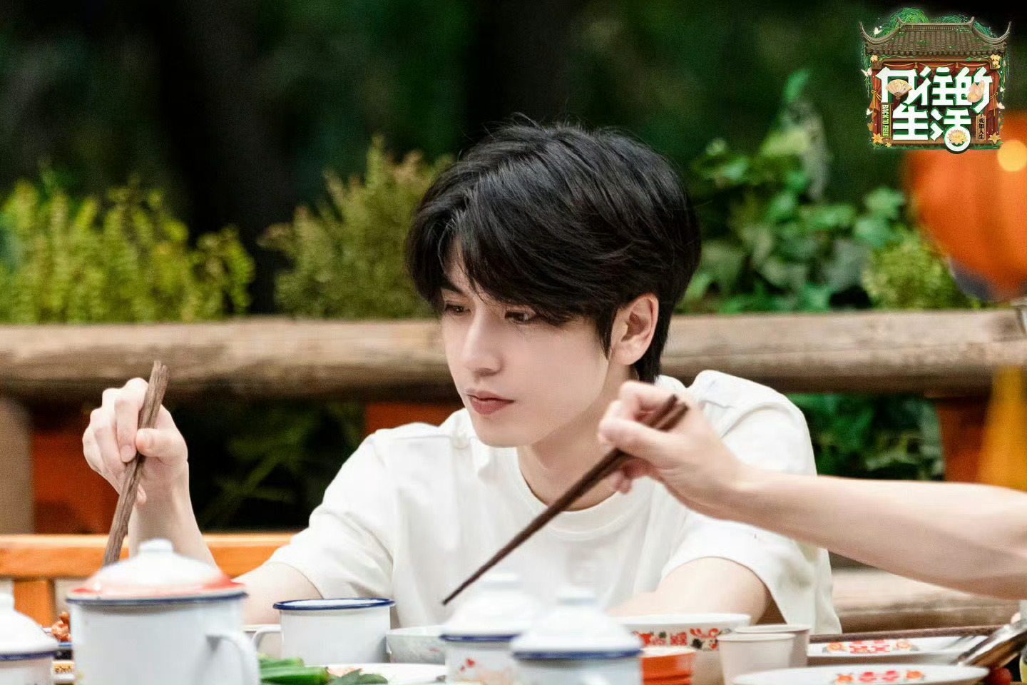 张凌赫向往的生活新物料来啦 