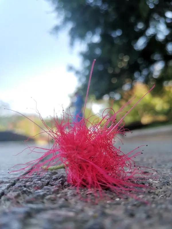 上联：红尘一遇心沦陷；
下联：碧落三生志不移。