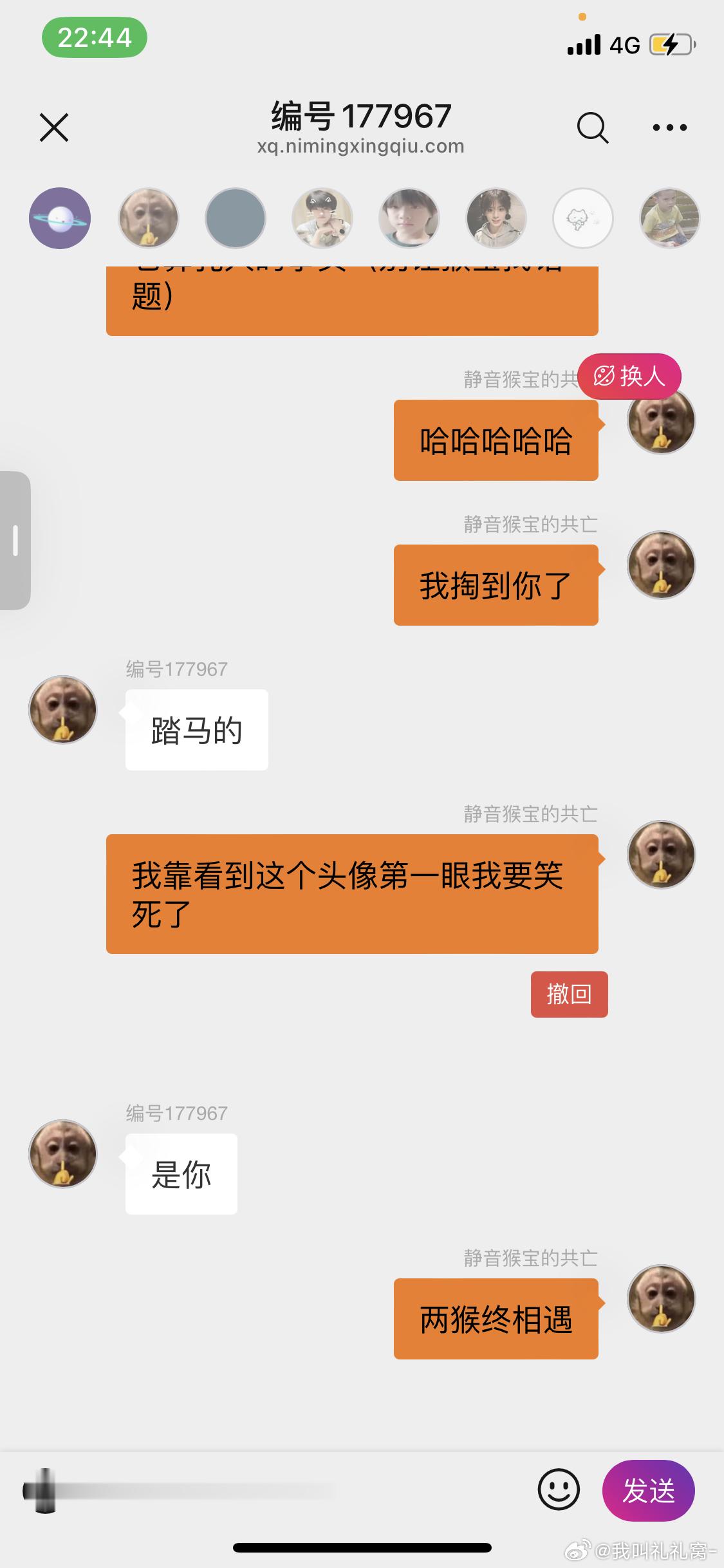 两猴终相遇 