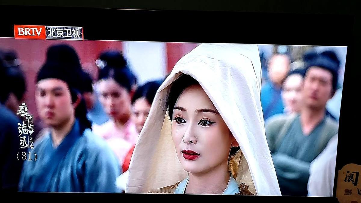 我们现在的人太多戾气

看《唐朝诡事录》知晓西安杜陵韦曲“城南韦杜去天五尺”的历