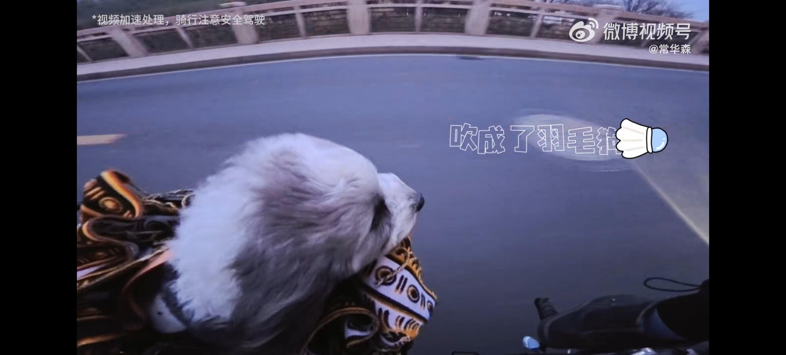 这个爸爸请善待我们九月孩子直接在风中凌乱了 