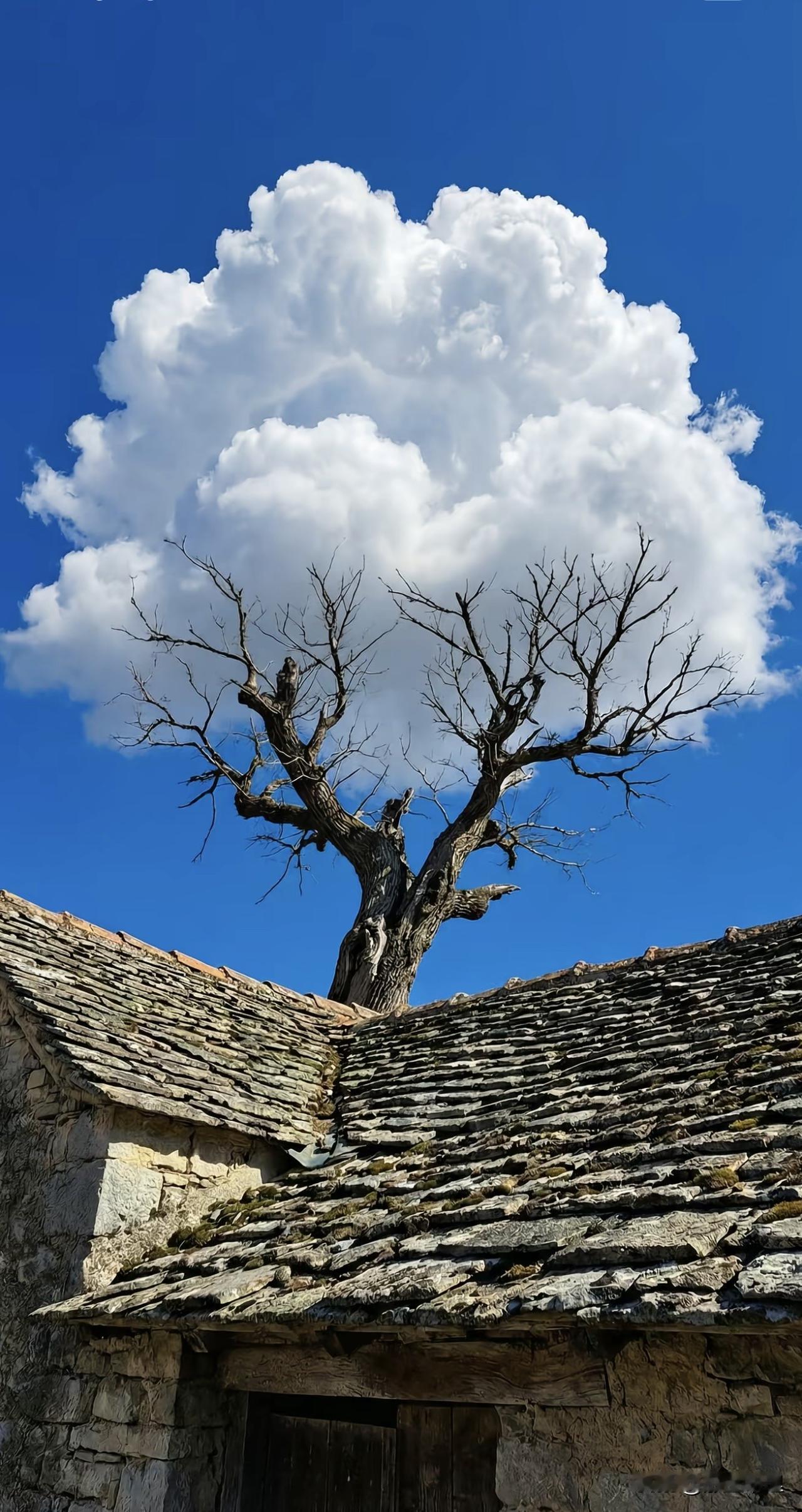 治愈叙事风）

路过这处石屋时，脚步不自觉停了下来。
青灰的石板瓦覆着岁月的苔痕
