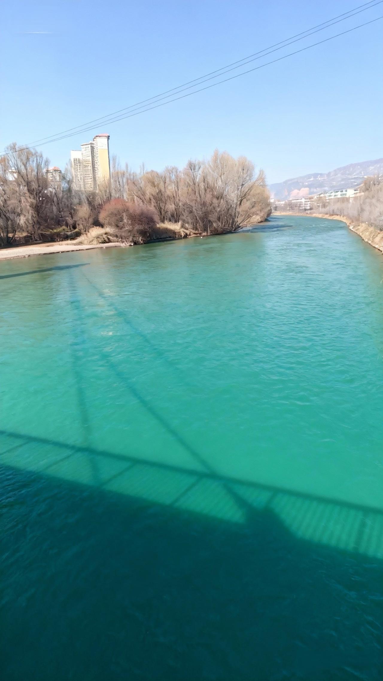 冬日生活打卡季