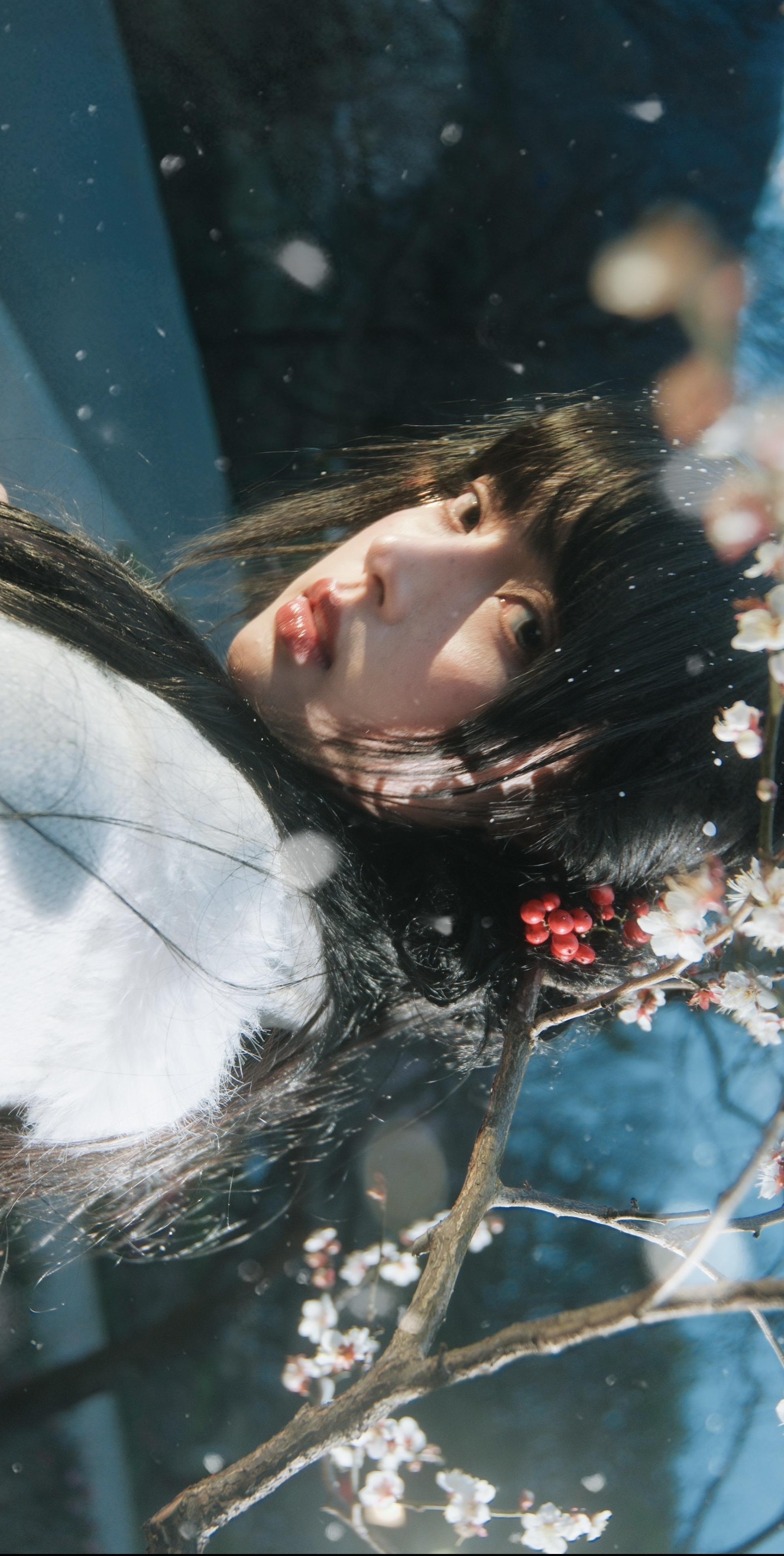 那年梅花开。