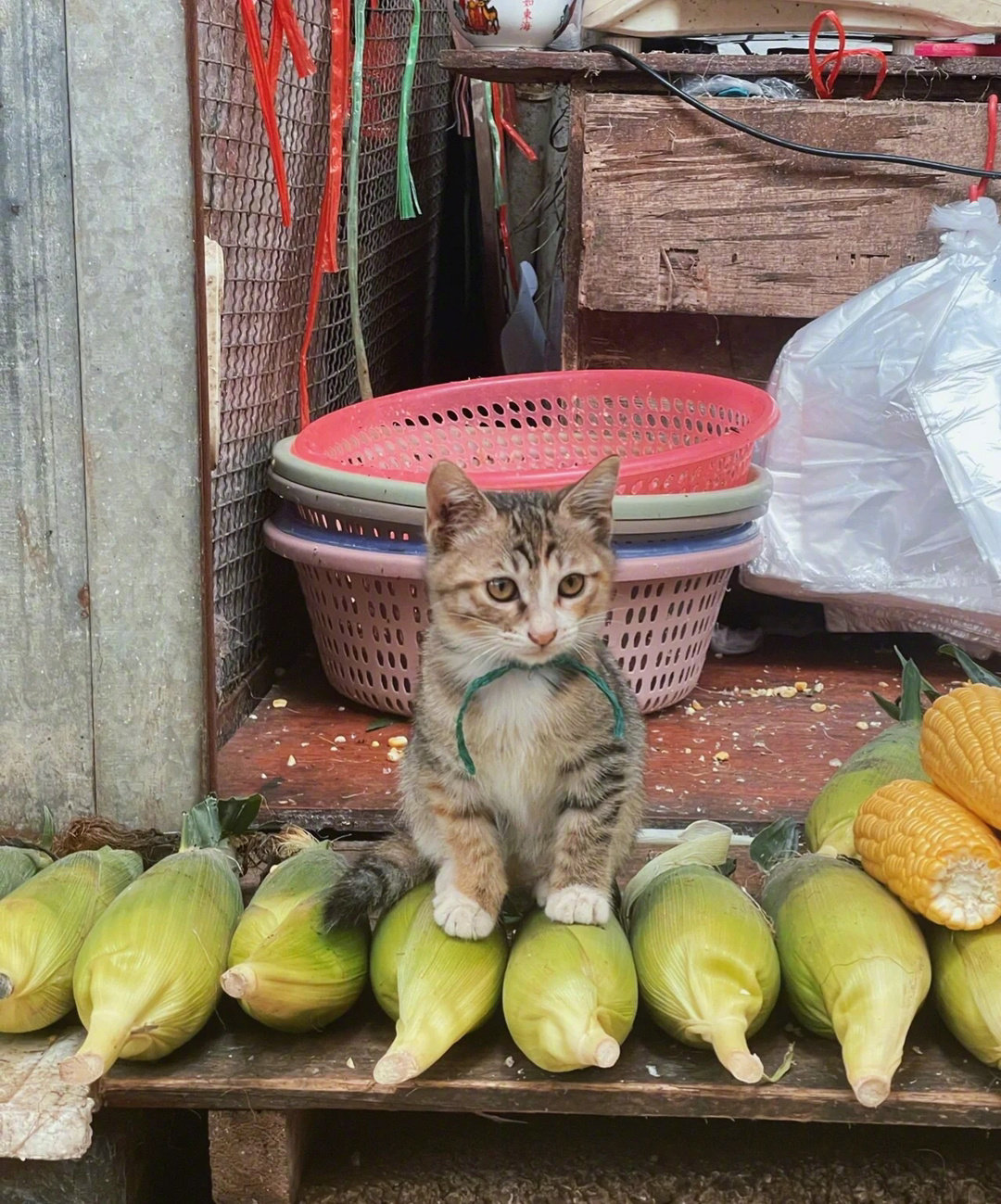 农贸市场里的小老板！！！
