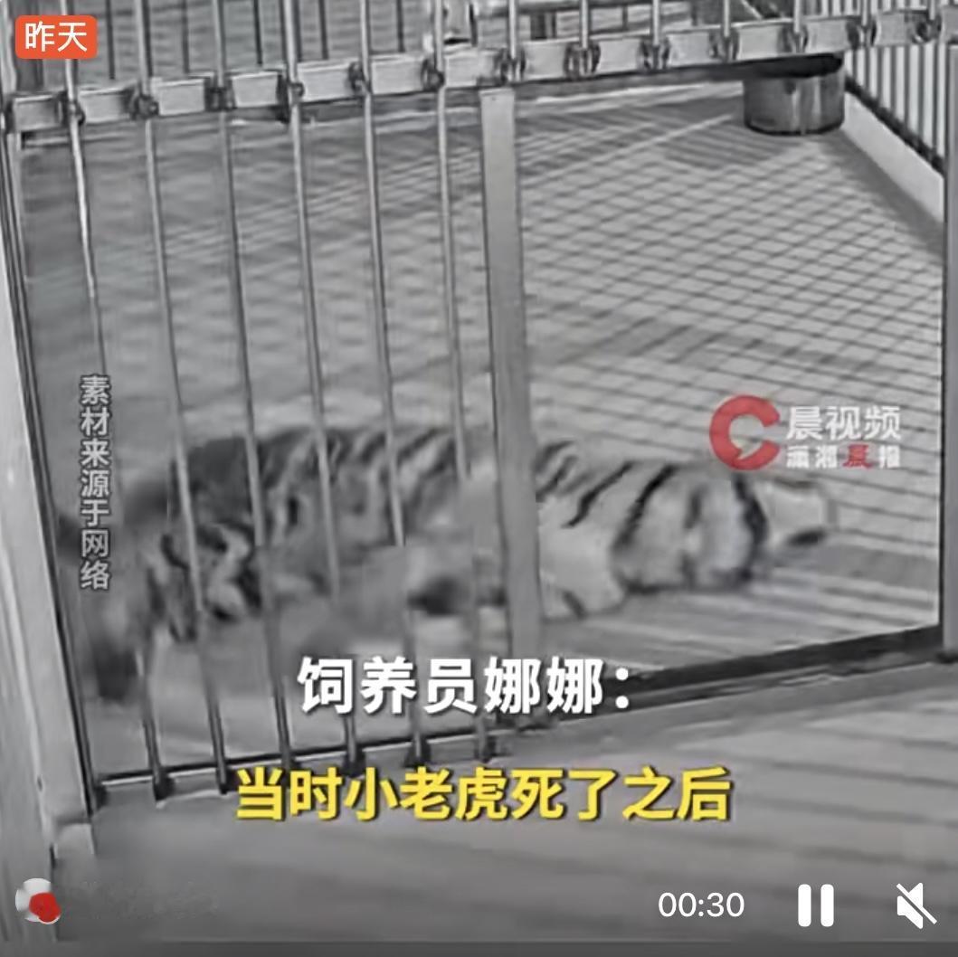 2月10日，河南濮阳市中心动物园被官方通报，存在隐瞒网红小老虎“暖暖”死讯、用录