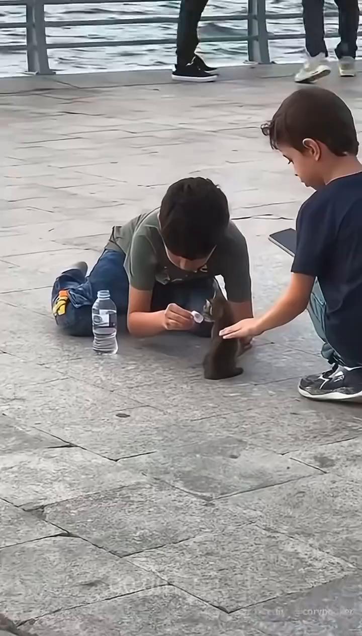 what do you want to be when you grow up 