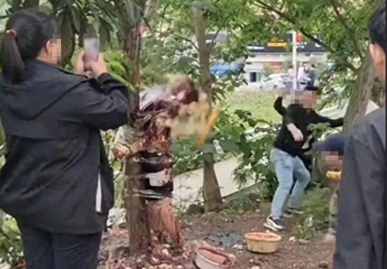 【新郎被绑树上泼酱油扔鸡蛋，律师：“婚闹”不是违法挡箭牌】
 
大喜的日子，新郎