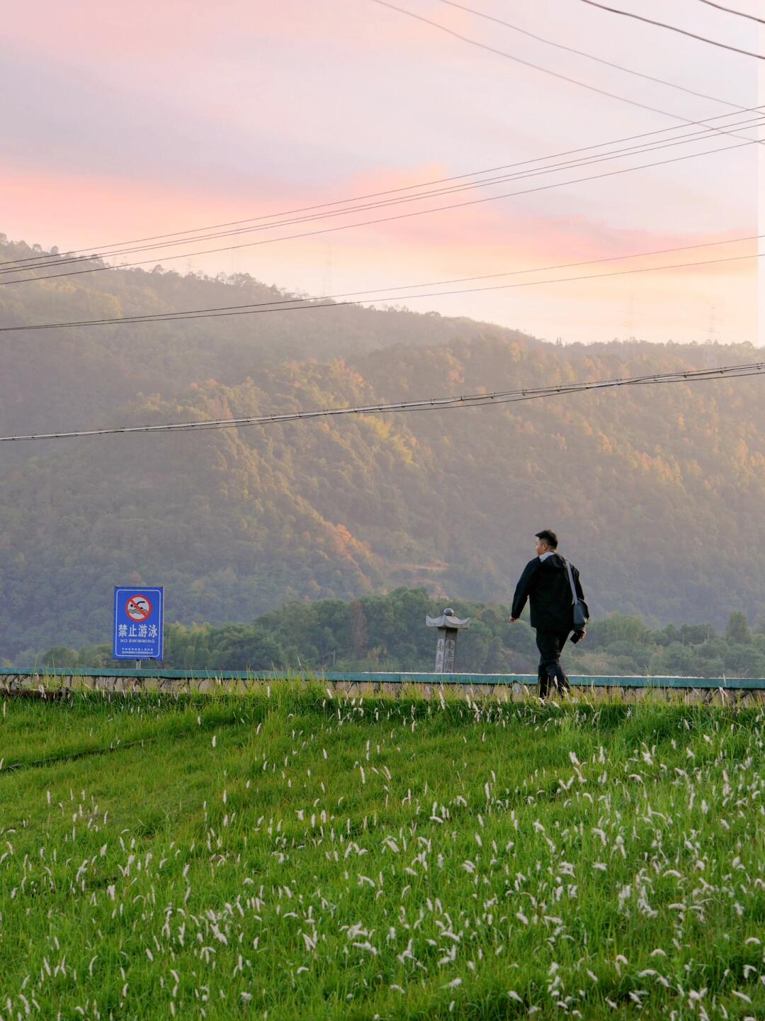“这个世界有它的规则，不工作就会变成猪”