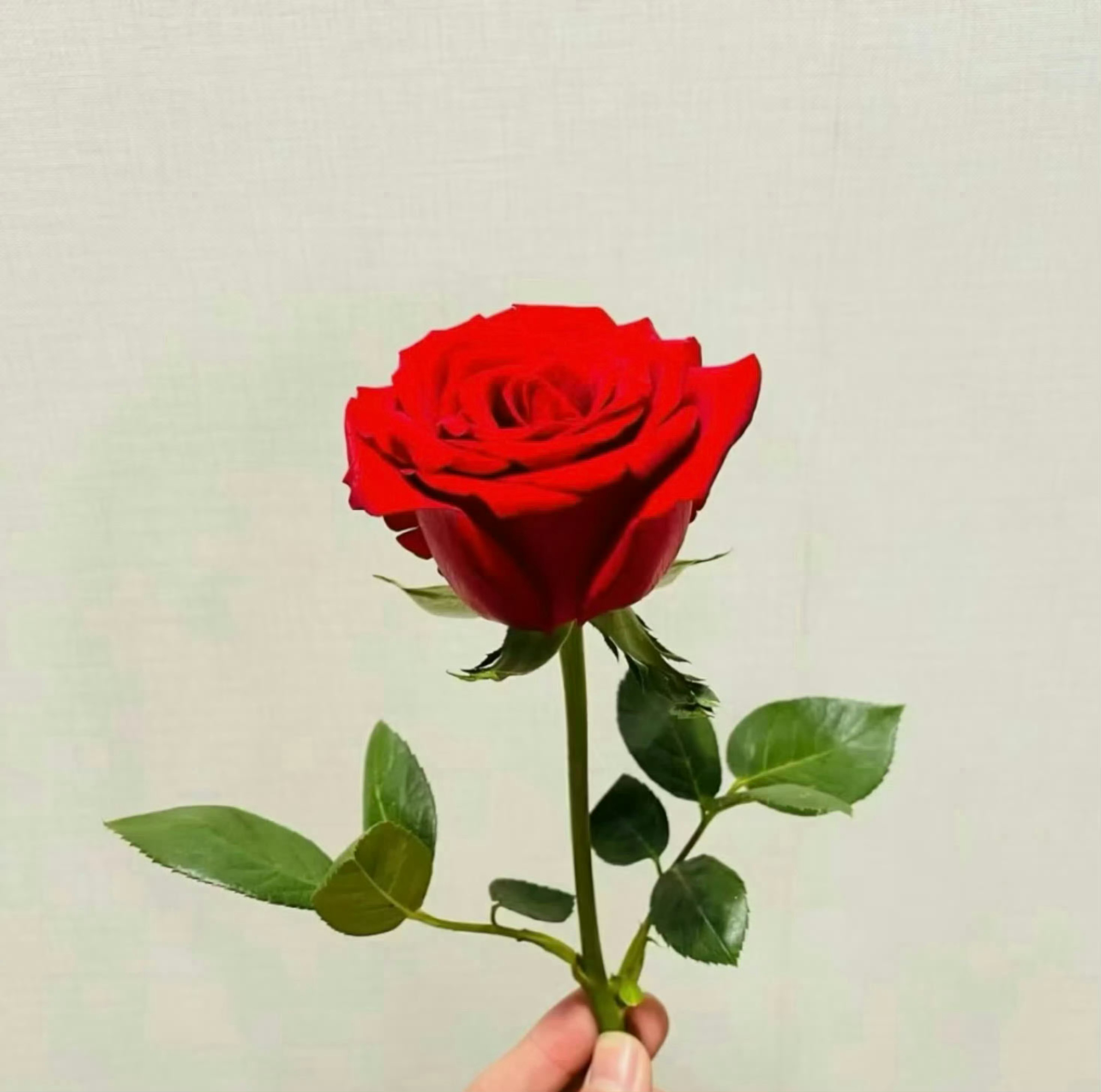 Hi，肖战。很难以形容这是多么幸福的一年。跨年夜、春晚的舞台你大杀四方、尽情释放