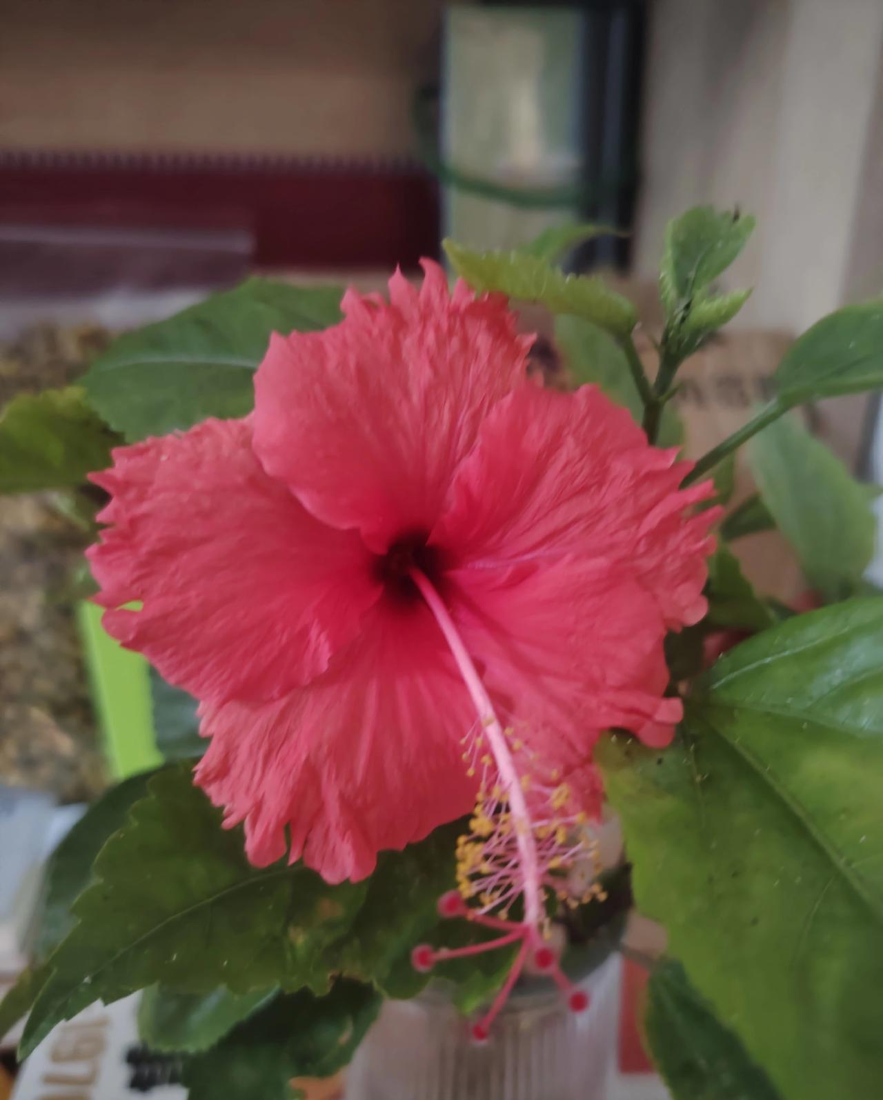 包容自己和放纵之间的平衡点确实很难把握。就像在两性关系里，主动顺从是包容，给对方