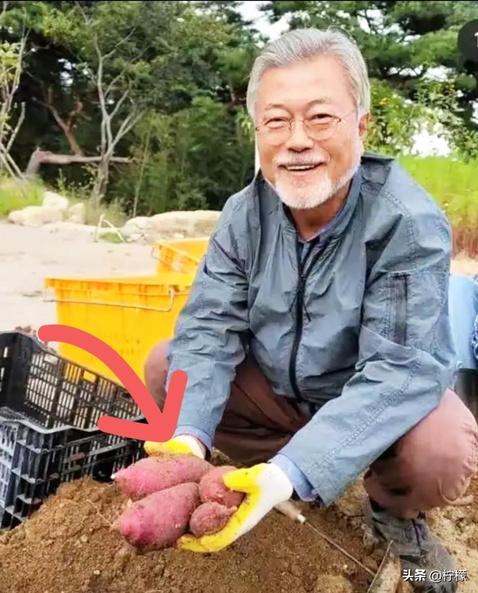 从韩国总统的位置上退休后，
他住在乡下，种菜、开书店。
每月能领1400万韩元退