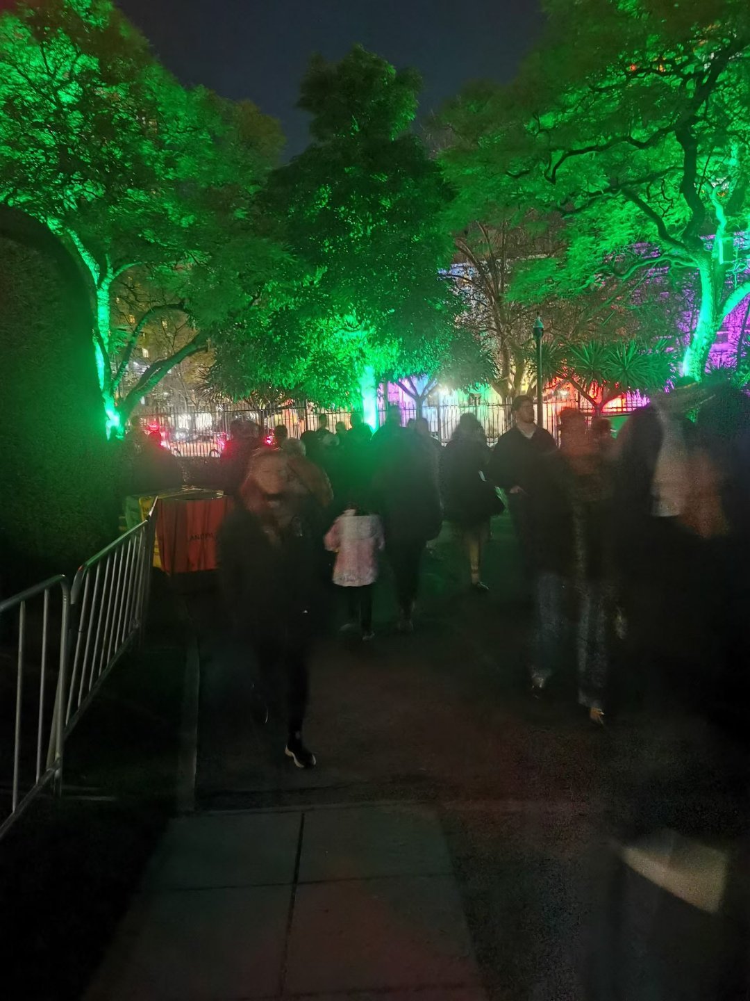 毛贵民东风夜放花千树。更吹落、星如雨。宝马雕车香满路。凤箫声动，玉壶光转，一夜鱼