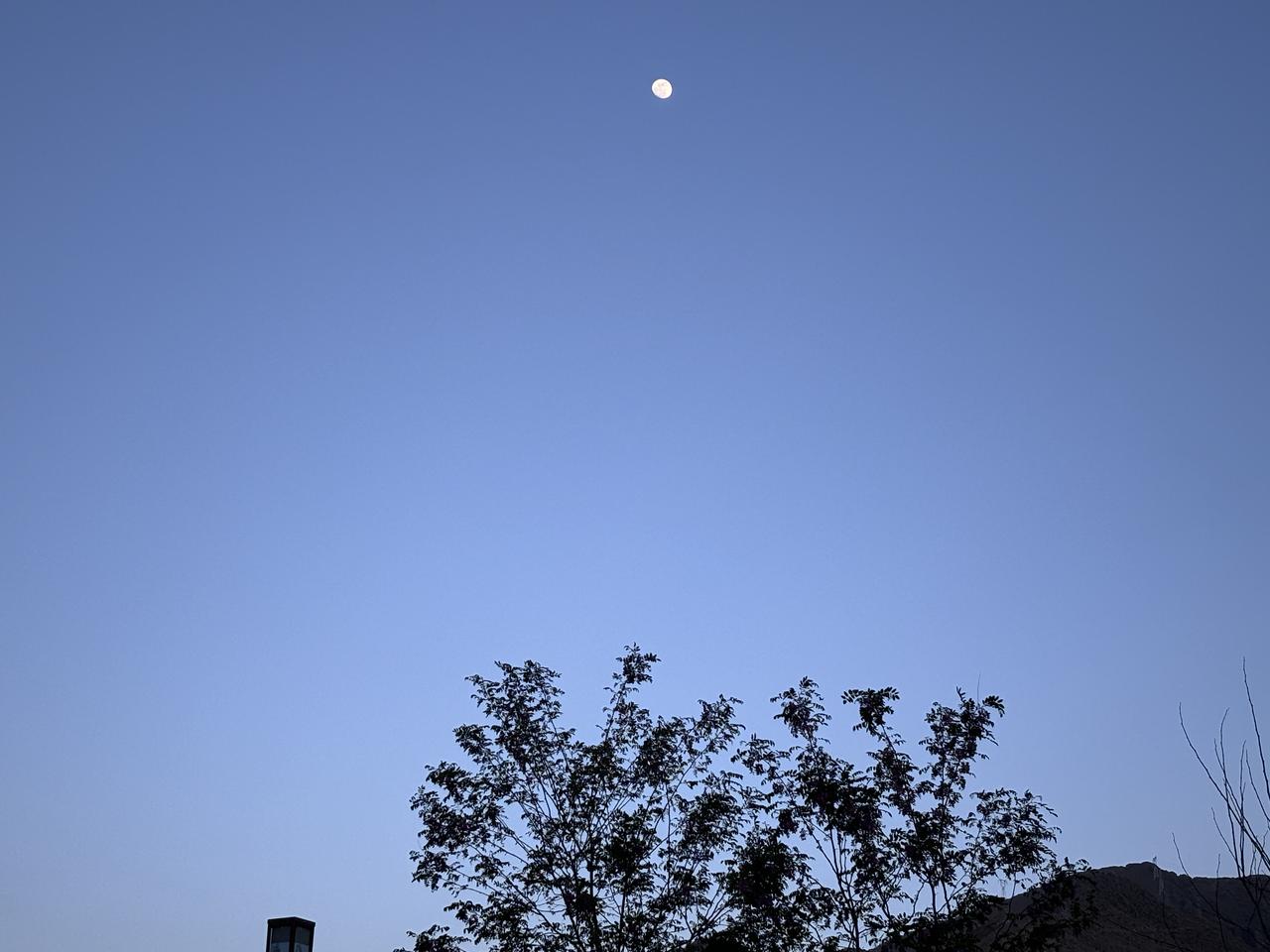 如今的我
变得精神异常的麻木
对任何事情也提不起来兴趣
内心不甘却不思进取
我不