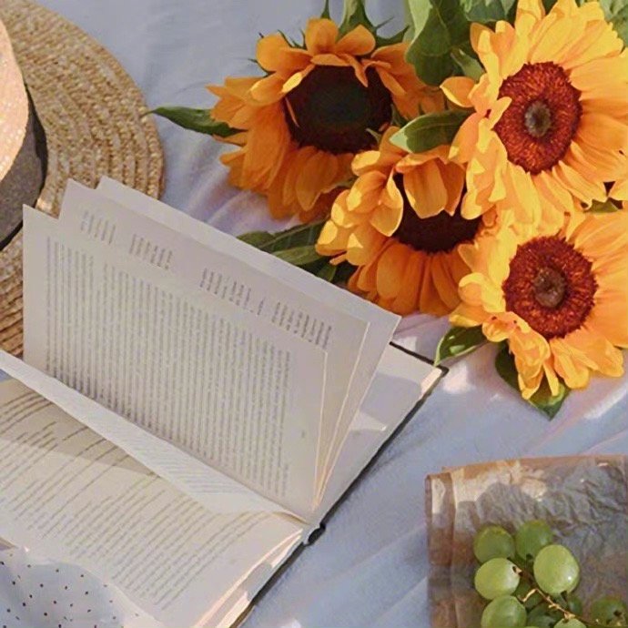 宫崎骏曾说过一句话：遇见都是天意，拥有的都是幸运，世界上有一千种等待，最好的那种