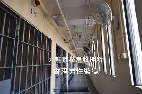 九龍城裁判法院香港反贪执法部门香港廉政公署香港监狱 「香港 承辦商及職員行賄獲兩